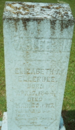 Elizabeth A Hayes Ellerbee